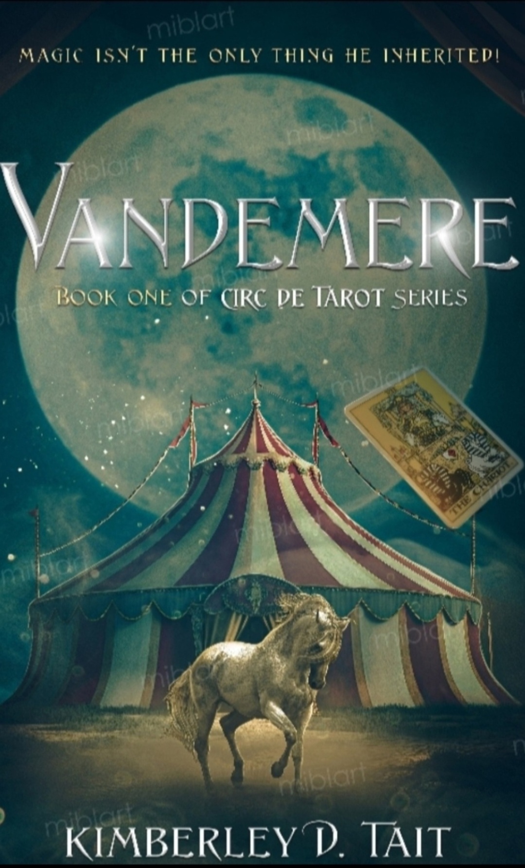 Vandemere book cover